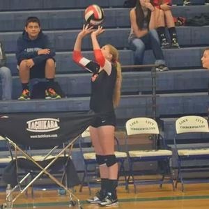 Meet your Posher, Phoebe